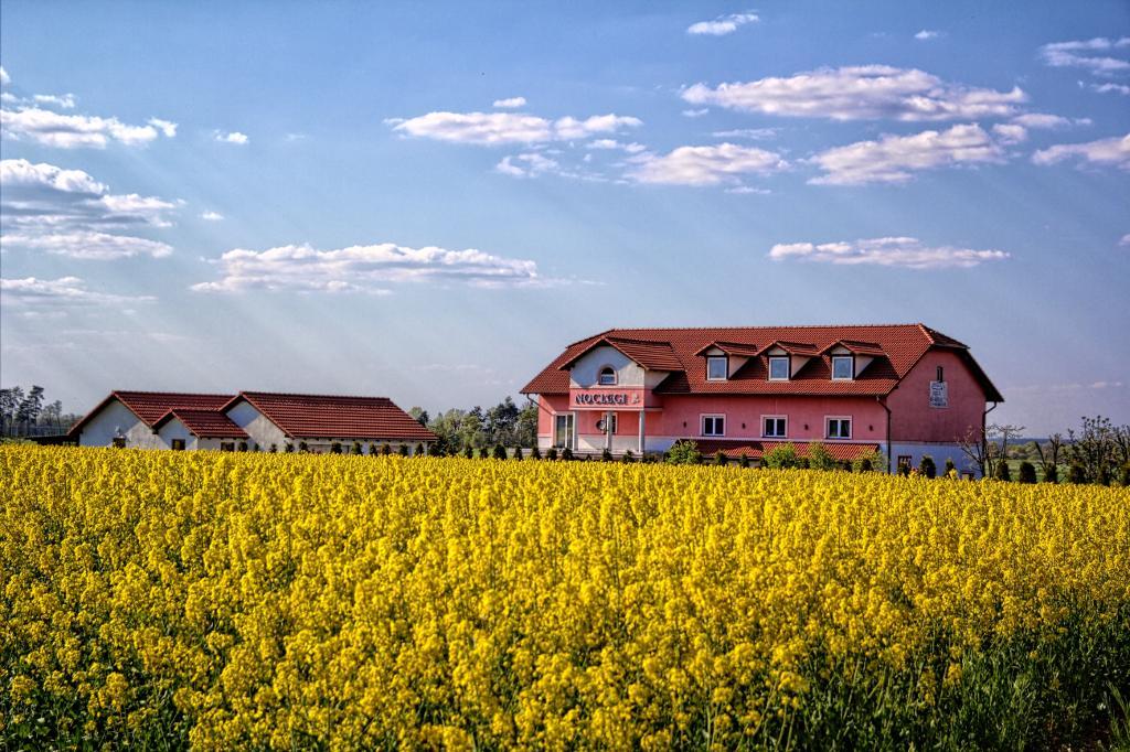 Noclegi Biała Róża Boleslawiec  Exterior foto