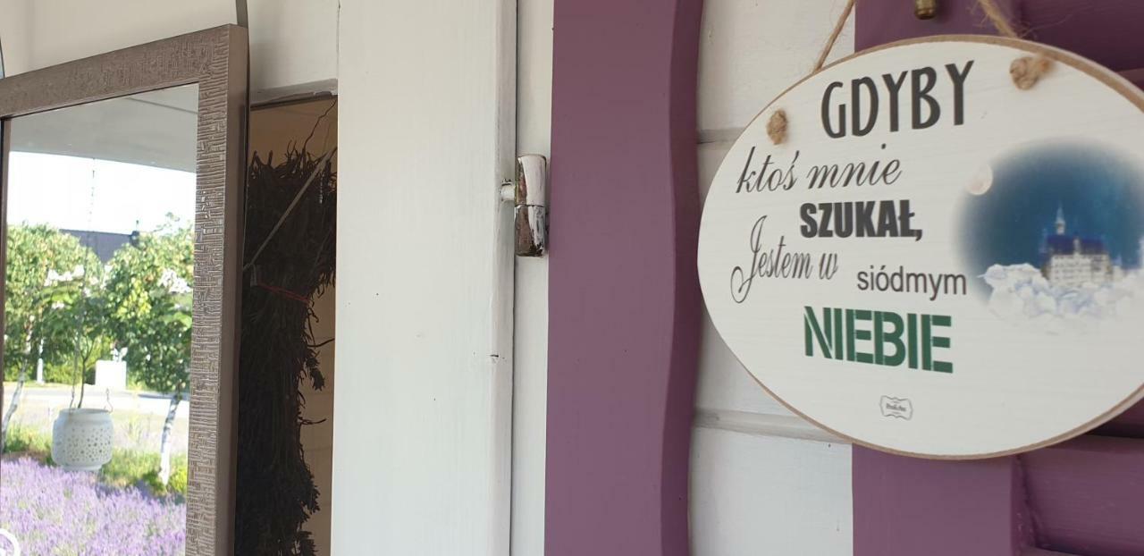 Noclegi Biała Róża Boleslawiec  Exterior foto